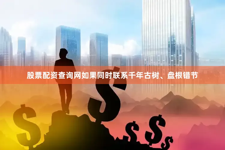 股票配资查询网如果同时联系千年古树、盘根错节