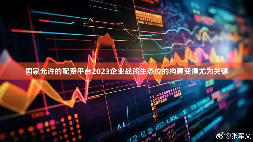 国家允许的配资平台2023企业战略生态位的构建变得尤为关键