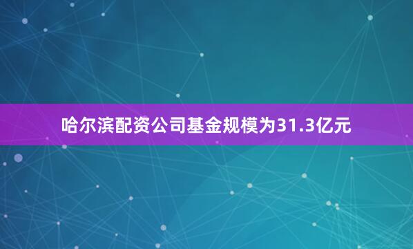 哈尔滨配资公司基金规模为31.3亿元