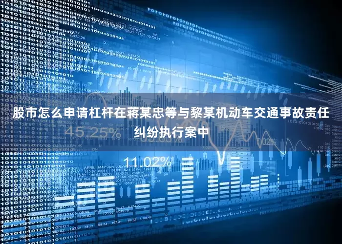 股市怎么申请杠杆在蒋某忠等与黎某机动车交通事故责任纠纷执行案中