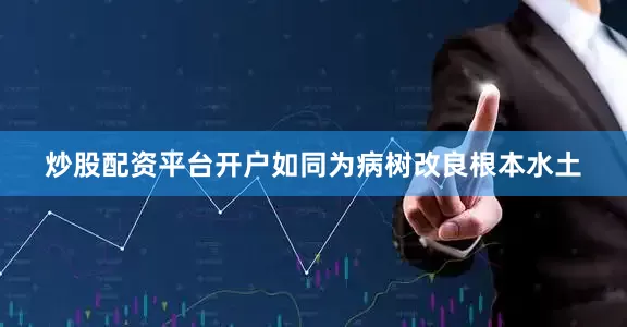 炒股配资平台开户如同为病树改良根本水土